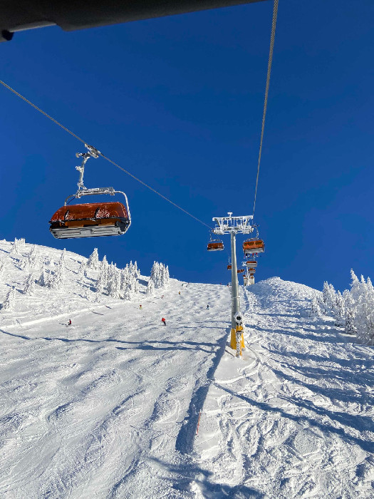 Copyright Skiclub-waizenkirchen.at (c) Skiclub-waizenkirchen.at